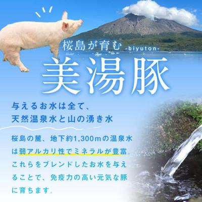 ふるさと納税 垂水市 鹿児島県産 桜島 美湯豚 味付き 豚足 680g 170g×4P【大隅ミート産業】A1-0422 |  | 02