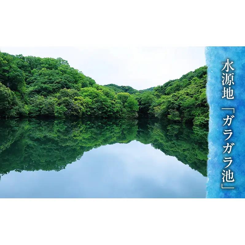 特別栽培米 「 千の光 」　( 精米 )　10kg　米 お米 ごはん 特別栽培 兵庫県 洲本市 淡路島 鮎原塔下