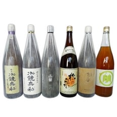 球磨焼酎　松の泉　飲み比べ6本セット(各1800ml)