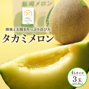 ＜2026年先行予約＞ タカミメロン 青肉 4L×3玉セット 6月発送 メロン メロン メロン メロン メロン メロン 青肉 青肉 青肉