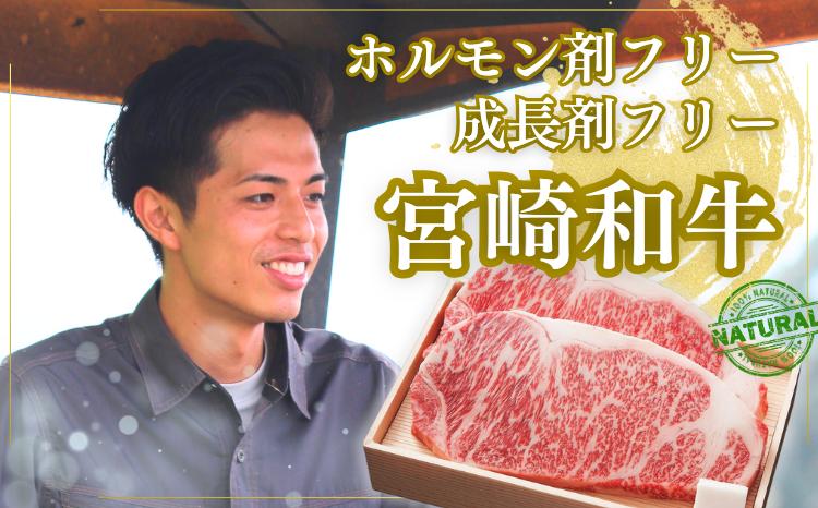 
            厳選 江田和牛 サーロインステーキ 600gセット(200g×3枚)  日本一のブランド牛「宮崎牛」 [希少 国産 黒毛和牛 冷凍 ギフト A5 牛肉 お肉 宮崎県 ワンストップオンライン対応] TF0695-P00051
          