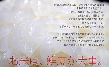 ひのひかり 特別栽培米 特A 福岡県産 白米 ひのひかり【5kg】