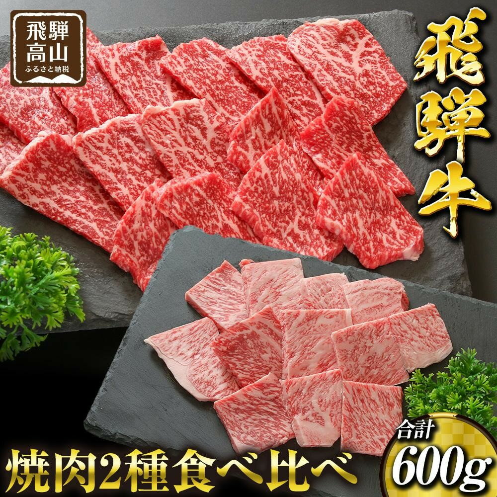 【ふるさと納税】飛騨高山の誇り 飛騨牛焼肉 リブロース＆モモ合計600g 2～4人前　｜飛騨牛 ブランド 焼肉セット 黒毛和牛 飛騨高山 焼肉セット マノア株式会社　PS001
