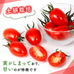 トマト3種食べ比べ アイコ ラブリーさくら フルティカ 約2.2kg 大瀧農園 トマト 完熟トマト 野菜 産地 直送 人気 国産 愛媛県 愛南町 発送期間：2026年3月1日～7月頃まで（※なくなり次