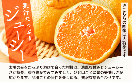 【数量限定】おたのしみ！旬の柑橘詰め合わせセット(４種約５kg) NK-4｜果物 柑橘 大将季 ぽんかん スイートスプリング 津之輝 麗江 サワーポメロ 南大隅町 産地直送 詰め合わせ 5kg 国産 