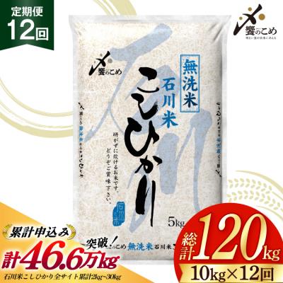 ふるさと納税 宝達志水町 米 定期便 無洗米 石川米 こしひかり 10kg ( 5kg 2袋) 12回 [38601400]