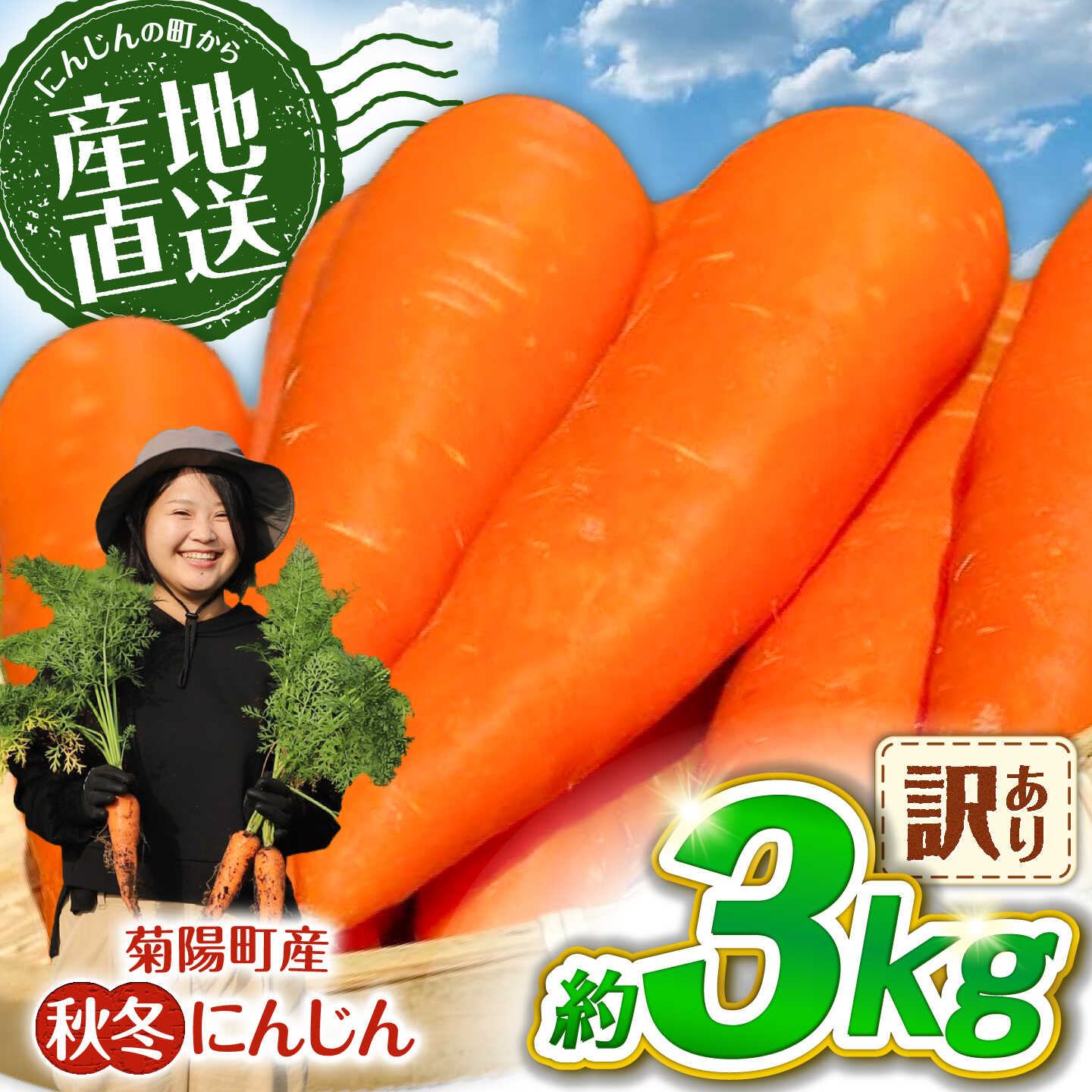 【ふるさと納税】【先行予約】【2026年11月中旬より順次発送】菊陽秋冬にんじん (訳あり) 約3kg / にんじん 菊陽にんじん 秋冬にんじん ニンジン 人参 野菜 熊本 菊陽 【さかもと農園】[BHDL006]