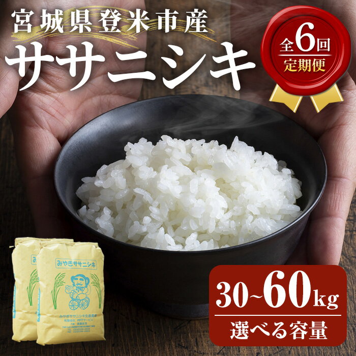 【ふるさと納税】≪6ヶ月定期便≫ 登米市産 ササニシキ 30kg・60kg 選べる容量 お米 おこめ 米 コメ 白米 ご飯 ごはん おにぎり お弁当 頒布会【有限会社PFTサービス】tm478・tm479