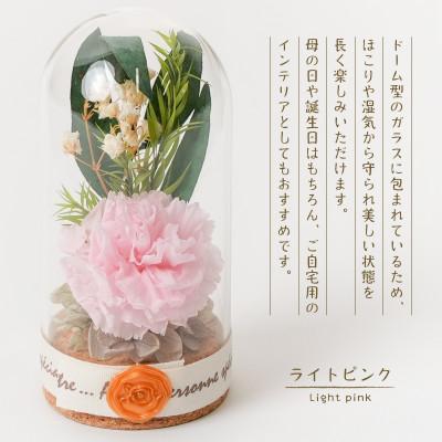 ふるさと納税 羽島市 プリザーブドフラワー ガラスドーム型アレンジ 【イネス ミニ(ライトピンク)】 |  | 01