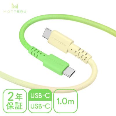 ふるさと納税 海老名市 グラデーションケーブル C to C 1m メロンソーダ(MOT-SCBCCG100-MS)