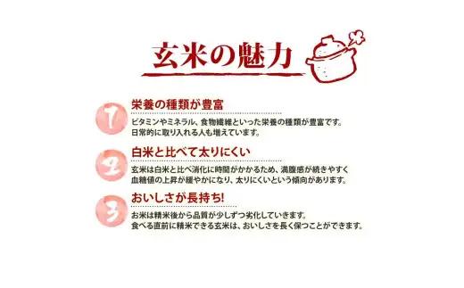 078-8-2【玄米】 ひとめぼれ 玄米 ｜ 10kg 令和8年産 玄米 静岡県 牧之原市 大石農園