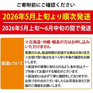 【0325001b】《2026年5月以降発送》＜定期便・全2回＞小玉すいか・ピノ・ガール(2玉×2回・計8kg以上) 果物 果実 フルーツ スイカ ピノガール 数量限定 期間限定 定期便 5月 6月 