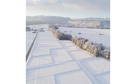 【令和7年産】定期便！魚沼産こだわり従来コシヒカリ【合計240kg】毎月20kg×12回 ブランド米 銘柄米 白米 精米 ご飯 おにぎり お弁当 