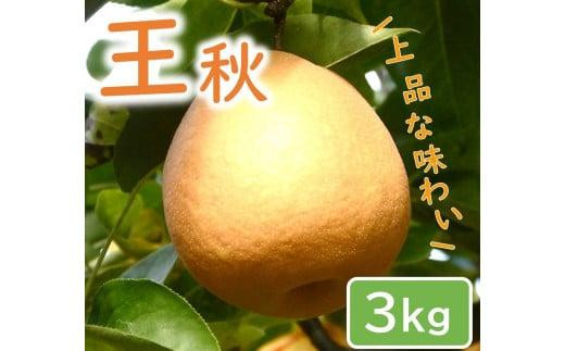 
                  王秋梨 3kg【やぶやフルーツガーデン】
                