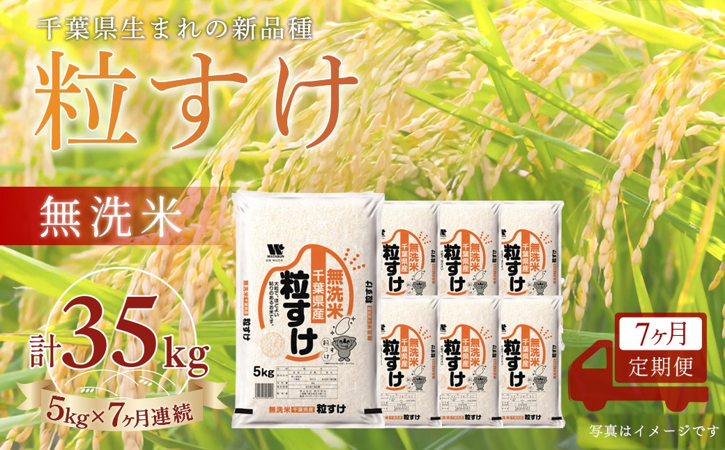 
                  ＜7か月定期便＞ 千葉県産「粒すけ」無洗米 5kg×7か月連続 計35kg
                