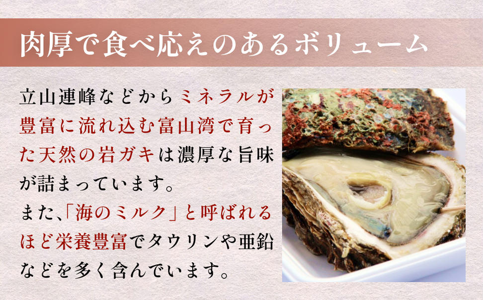 【冷蔵便】生食可能！氷見産 天然岩ガキ 1.5kg（3～5個入）