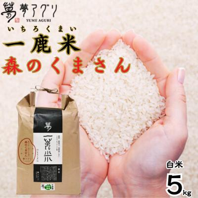 ふるさと納税 山鹿市 一鹿米 森のくまさん 栽培期間中肥料農薬不使用 米 白米 5kg【株式会社夢アグリ】《山鹿市》