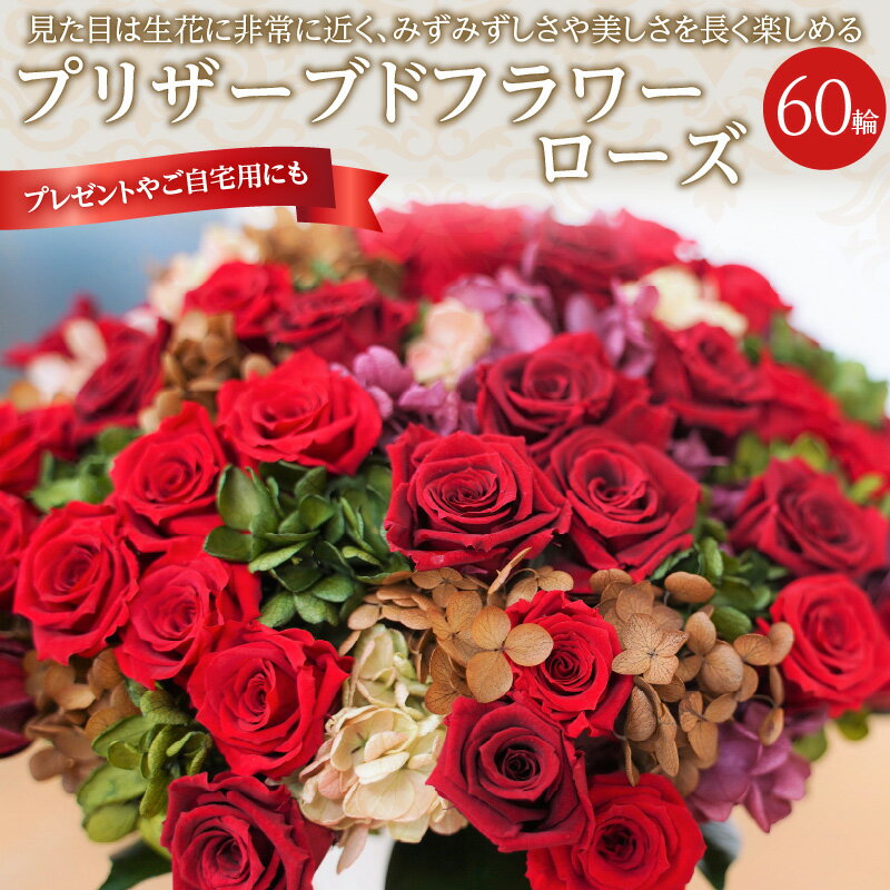 【ふるさと納税】【日付指定可能】プリザーブドフラワー ローズ 60輪 アレンジメント 薔薇 バラ ギフト プレゼント ラッピング 産地直送 インテリア お花 フラワー ボリューム 満点 お取り寄せ 愛知県 碧南市 送料無料