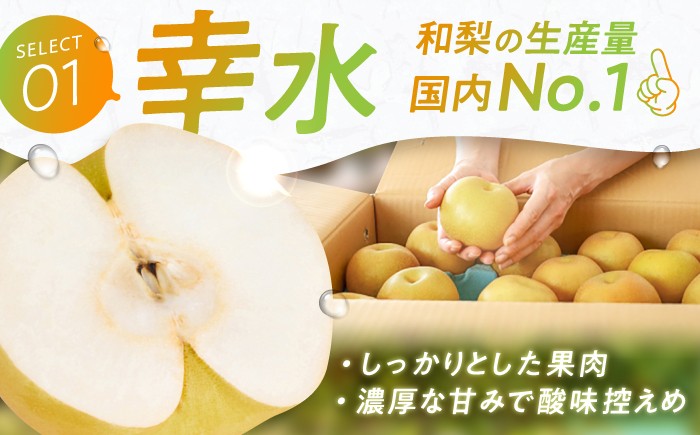 果物 梨 幸水 なし ナシ 果物