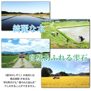 銀河のしずく 精米 6kg 窒素ガス充填梱包 【みのり片子沢】 ／ 米 白米 2kg 3袋 特A