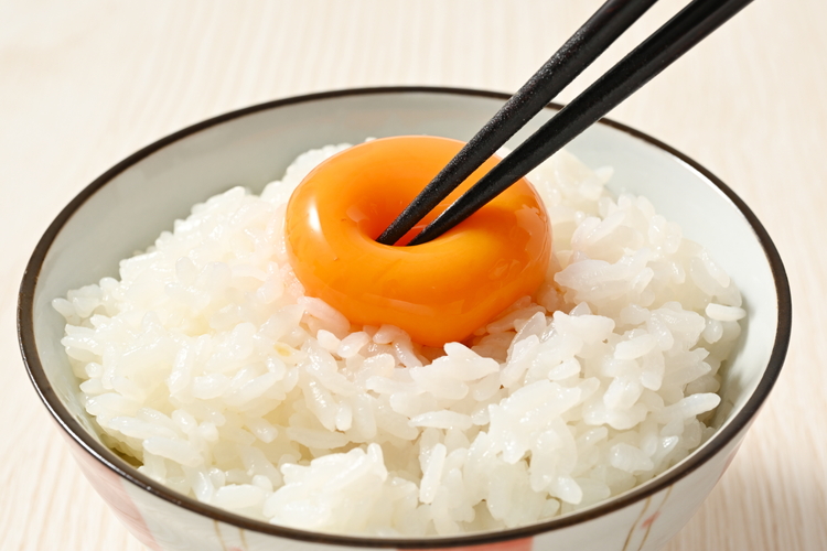 【8ヶ月定期便】料理人も「うまい！」と絶賛 昔の味たまご 20個入り（18個＋割れ補償2個）×8か月| 卵 鶏卵 玉子 たまご 生卵 国産 濃厚 コク 卵かけご飯 旨味 旨み ※着日指定不可