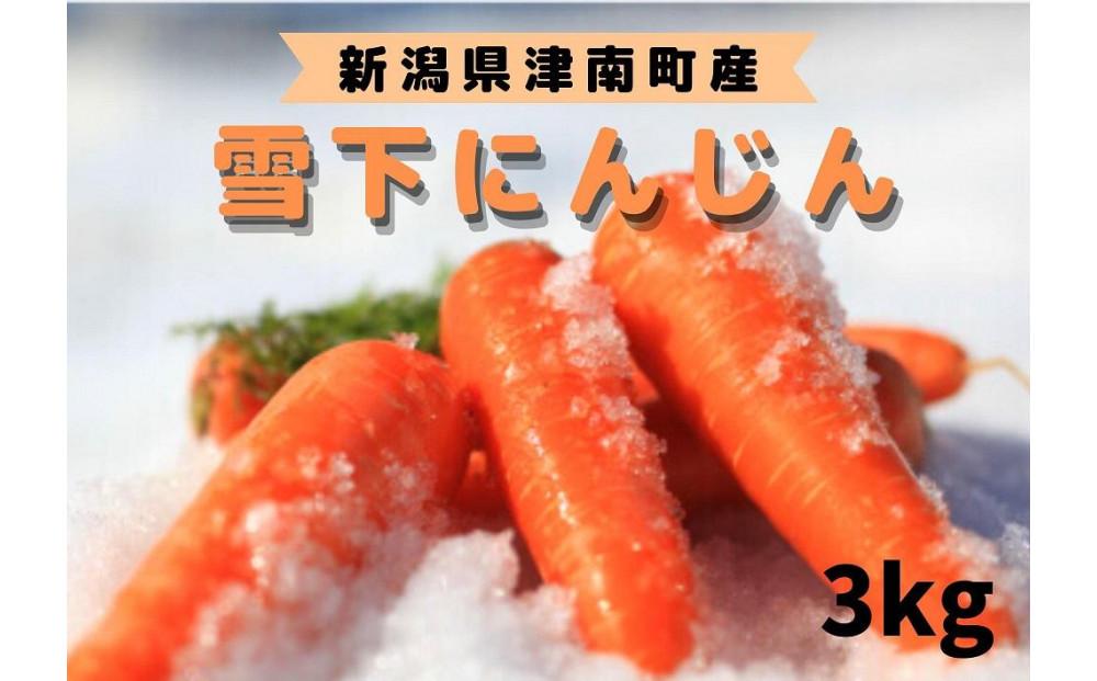 【令和8年産 先行予約】雪国ならではの逸品！津南町の雪下にんじん 3kg 15~20本 127524-088