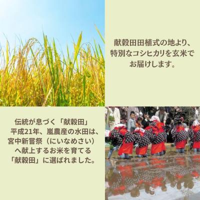 ふるさと納税 小松市 コシヒカリ 玄米 30kg 令和7年産 米 コメ お米 げんまい 石川県産 小松市産 嵐農産 |  | 01