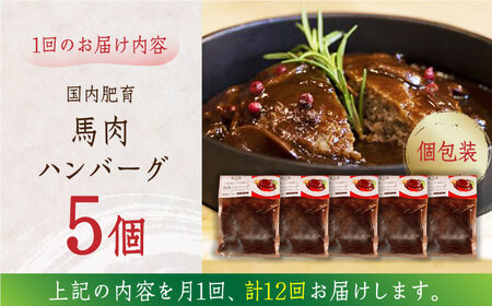 【全12回定期便】国内肥育 冷凍 馬肉ハンバーグ 計1kg ( 200g × 5個 ) 国内肥育 デミグラスソース入り 小分けハンバーグ 個包装ハンバーグ 惣菜 湯煎 熊本ハンバーグ 国産ハンバーグ 
