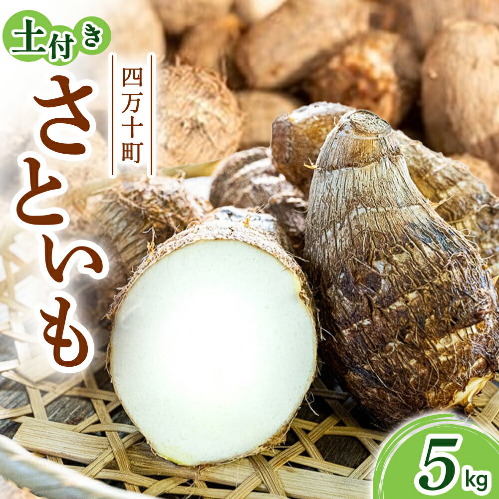 【ふるさと納税】四万十町産 土付き さといも 5.0kg ／Fiz-06 農産物 新鮮 里芋 里いも 野菜
