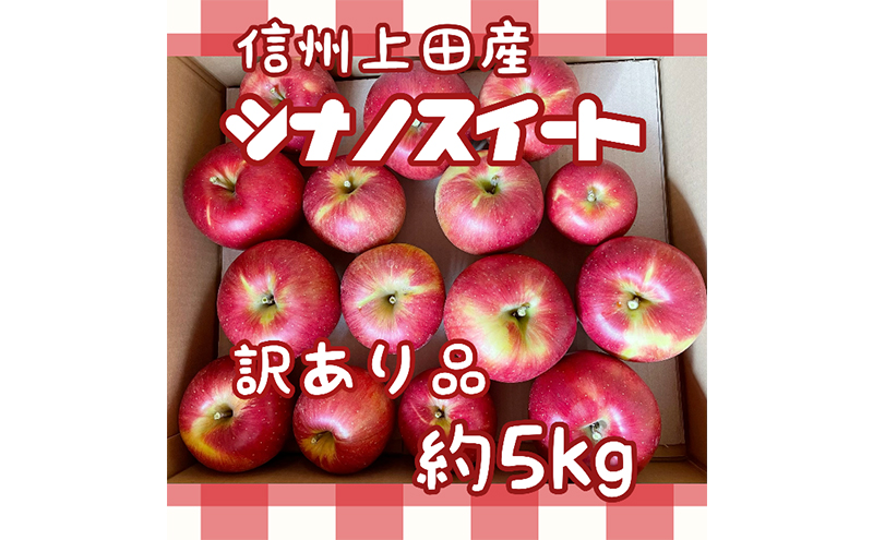 訳あり りんご 信州上田産 シナノスイート 約5kg 林檎 リン