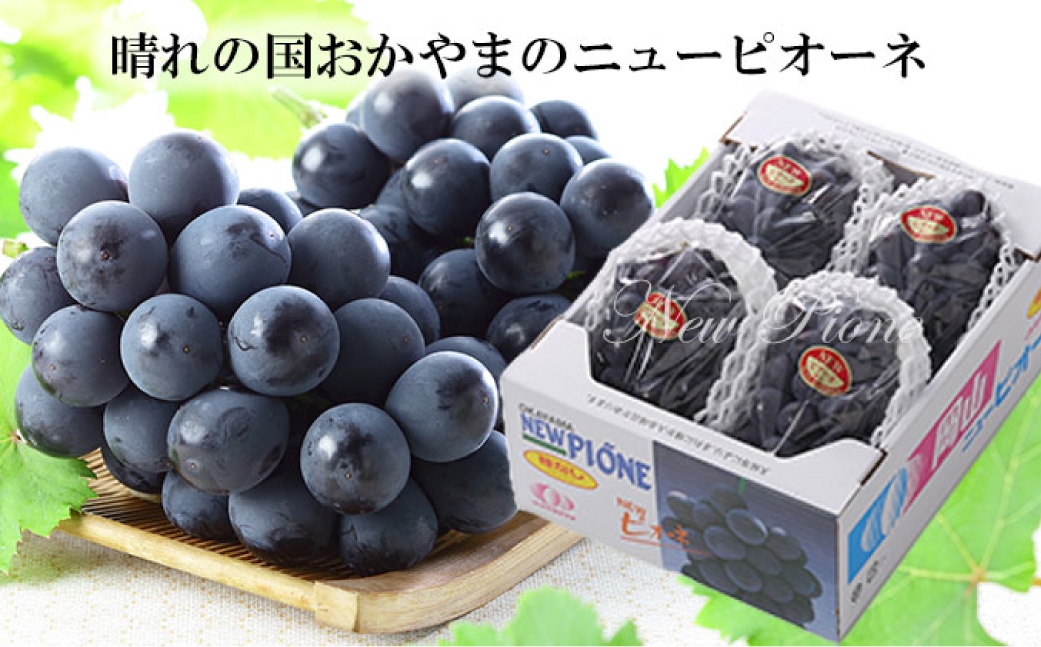 岡山県産ニューピオーネ 約500g×2房 計約1kg