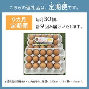 ☆彡9か月定期便☆彡　北杜のたまご（30個入） [h199]