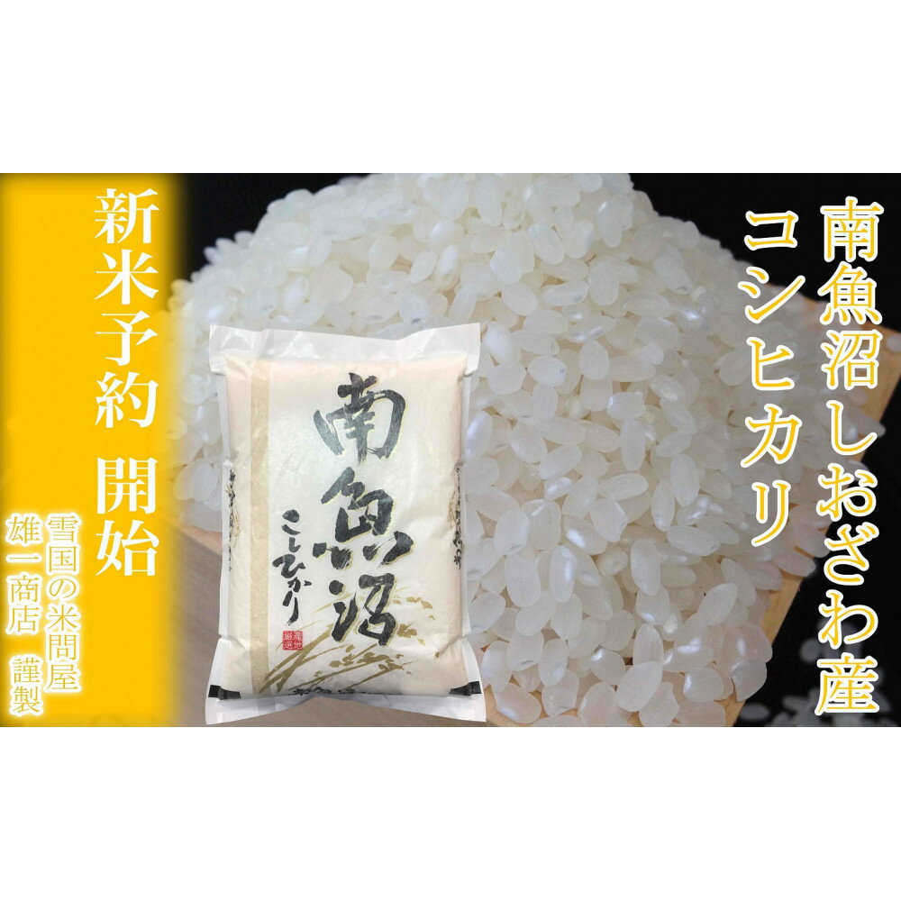 【ふるさと納税】【新米予約・令和7年産】定期便★2kg×6ヶ月 生産者限定 南魚沼しおざわ産コシヒカリ | お米 こめ 白米 食品 人気 おすすめ 送料無料