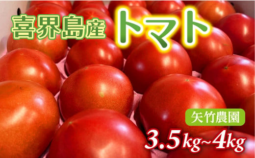 
            喜界町産トマト3.5kg~4.0kg　矢竹農園【2025年1月頃から発送】
          