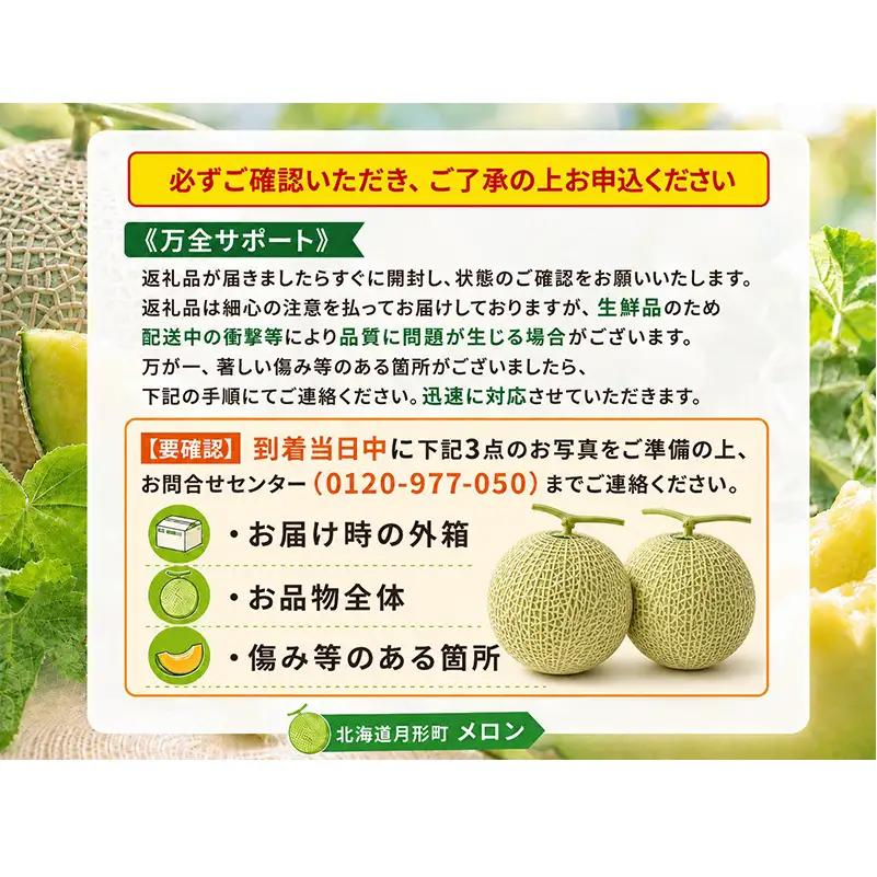 メロン 赤肉 北の女王 秀品 北海道 メロン【2玉 計約3.2kg】【先行予約】