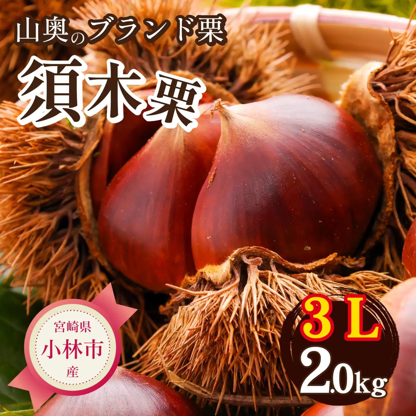 栗 【ブランド栗】大粒須木栗 3L サイズ以上 2kg 生栗