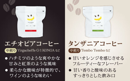 コーヒー[豆]6回定期 自家焙煎スペシャルティコーヒー豆(250g×2種)約40杯分ZCJ016