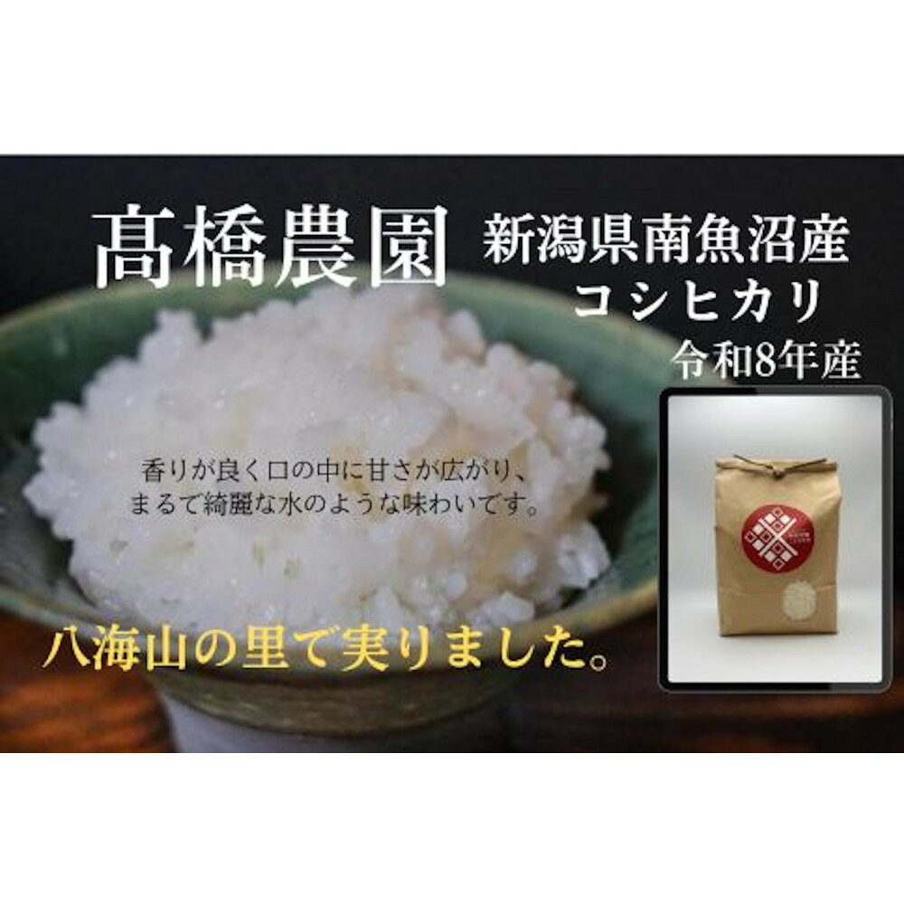 【ふるさと納税】新米です！【令和8年産】[精米]南魚沼産こしひかり5kg　八海山の里で実りました。【2026年9月中旬より順次発送予定】