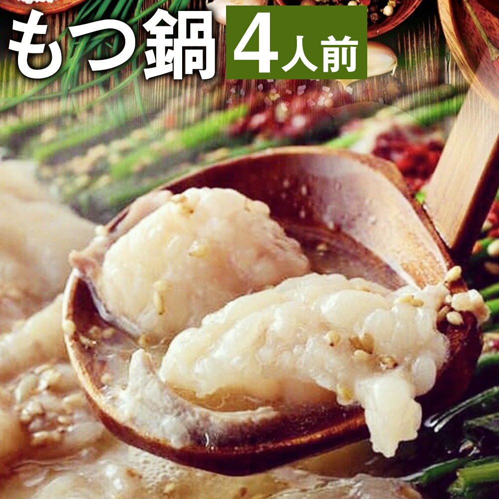 【ふるさと納税】九州鍋グランプリ受賞 ぷりぷりもつ鍋 (4人前) 《90日以内に出荷予定(土日祝除く)》菊池市産・熊本県産和牛使用 モツ鍋 鍋セット セット モツ 牛丸腸 無添加スープ ちゃんぽん麺 薬味付き 説明書付き 国産 九州産 熊本県産 送料無料