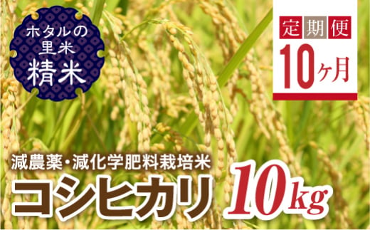 ＜定期便10ヶ月＞【ホタルの里米】環境に配慮し農薬を減らした栽培米 コシヒカリ精米10kg F4D-1008