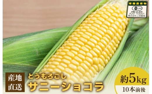 【2027年度発送分】上原農場直送 有機栽培とうもろこし (サニーショコラ) 約5kg 約10本前後 | ふるさと納税 北海道 中標津 なかしべつ とうもろこし サニーショコラ とうきび コーン 野菜 夏野菜 夏 産地直送 新鮮 採れたて 朝採れ 甘い オーガニック お取り寄せ ワンストップ マイページ 上原農場 中標津町【66008AA0101】
