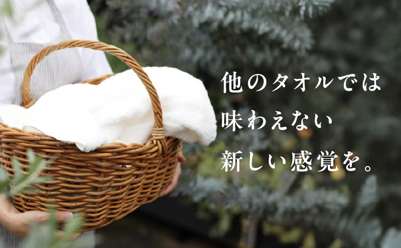 SUTEKI フェイスタオル 3枚（ホワイト）【泉州タオル 国産 吸水 普段使い 無地 シンプル 日用品 家族 ファミリー】 G2725
