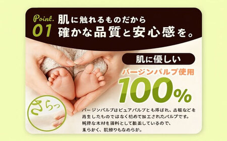 【ふるさと納税】 ティッシュ ティッシュペーパー 「 大容量 プラムファッション BOXティッシュ 2パック (ケース10個入り)  定期便 全3回(毎月) 」 [ 常備品 生活用品 まとめ買い 蛍光