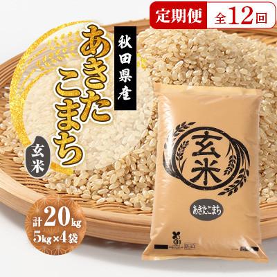 ふるさと納税 大潟村 【毎月定期便】あきたこまち 玄米 20kg(5kg×4袋)全12回