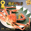 【ふるさと納税】【訳あり】≪浜茹で≫越前がに 小サイズ（生で400〜600g） × 1杯【雄 ズワイガニ 越前ガニ 姿 ボイル 冷蔵 かに カニ 蟹 福井県】【3月発送分】希望日指定可 備考欄に希望日をご記入ください [e43-x001_03]