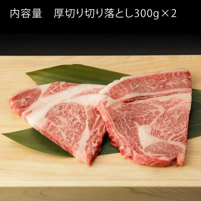 【定期便】牛肉切り落とし 600g NAC125 牛肉切り落とし 全3回