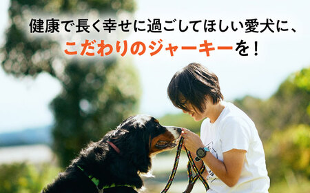 【国産】 ペットフード 犬用 鹿肉 ジャーキー  小袋 5点 セット 【こなき屋】愛犬 ドッグフード [TEM001]