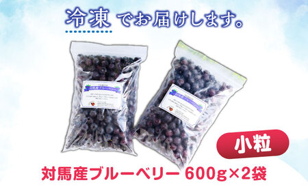 【最速発送】対馬産 ブルーベリー 600g×2袋 計1.2㎏（ 冷凍 ） 【さほの里ファーム 】《 対馬市 》 小粒　離島 対馬 無農薬 有機肥料 旬 果物 フルーツ[WBG011] スピード発送 最