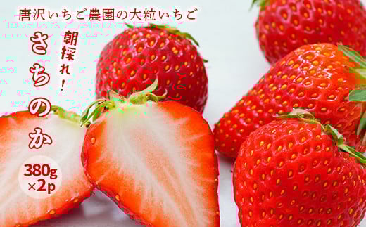 【先行予約】唐沢さんちの大粒いちご(さちのか) 朝採り 380g×2パック 果物 フルーツ 苺 イチゴ 岩手県 一関市 2026年2月上旬から発送予定