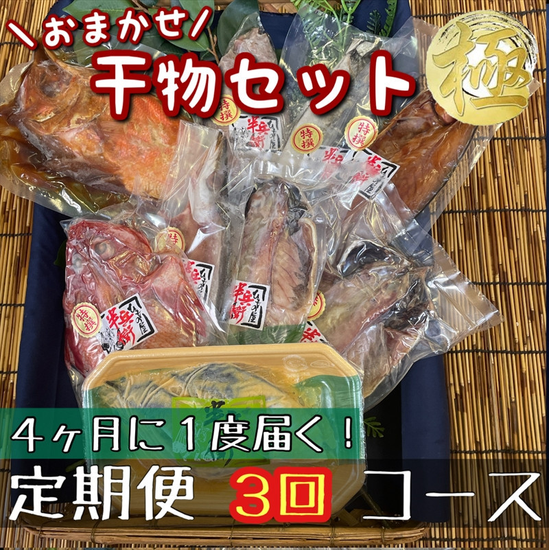 【4ヶ月に1回定期便3回】厳選！小田原の旬の干物セット 極【 まぐろや 神奈川県小田原市 】 142069_DQ355